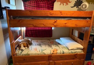 Bunkbed & Dinosaur Decor