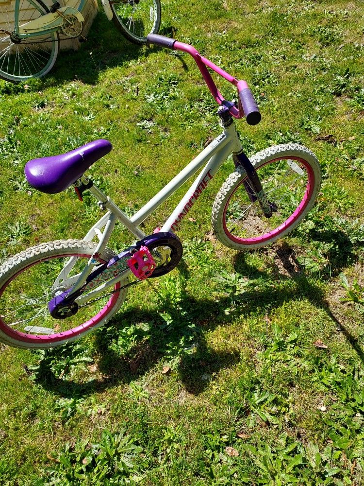 Big Girls Bike 