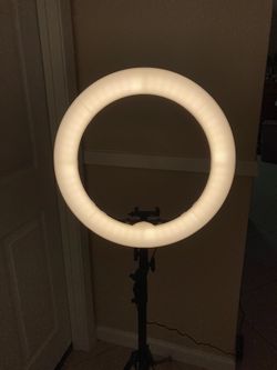 light stand A Photographer 