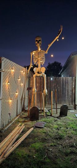12' skeleton