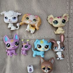 New No Box Bets Toys 