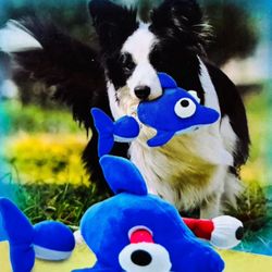 Shark Super Squeaky Soft Toss Tug & Shake Dog Eye Dropping Shark Toy 12x6
