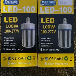 Bergen LED 100w Bulb 