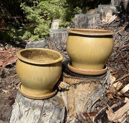 Ceramic pot (2 available, $25 each, $40 for 2)