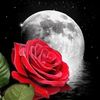 Miry
