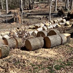 FREE Fire Wood