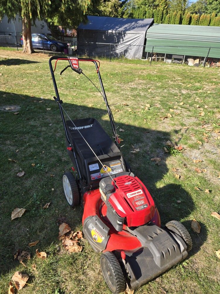 Self Lawnmower
