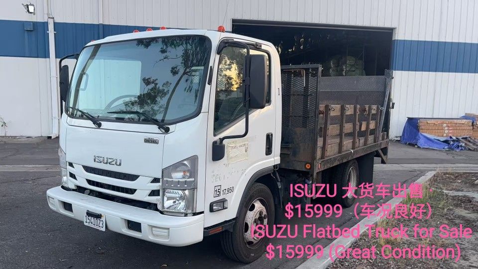 Electric Forklift 12.42