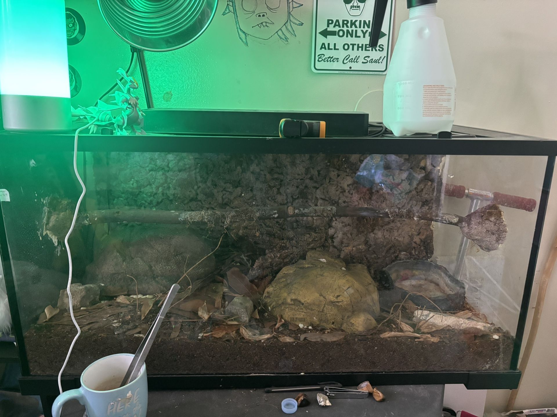 Large Terrarium/Tank For Sale