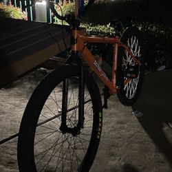 29” Throne Bike ( as is )