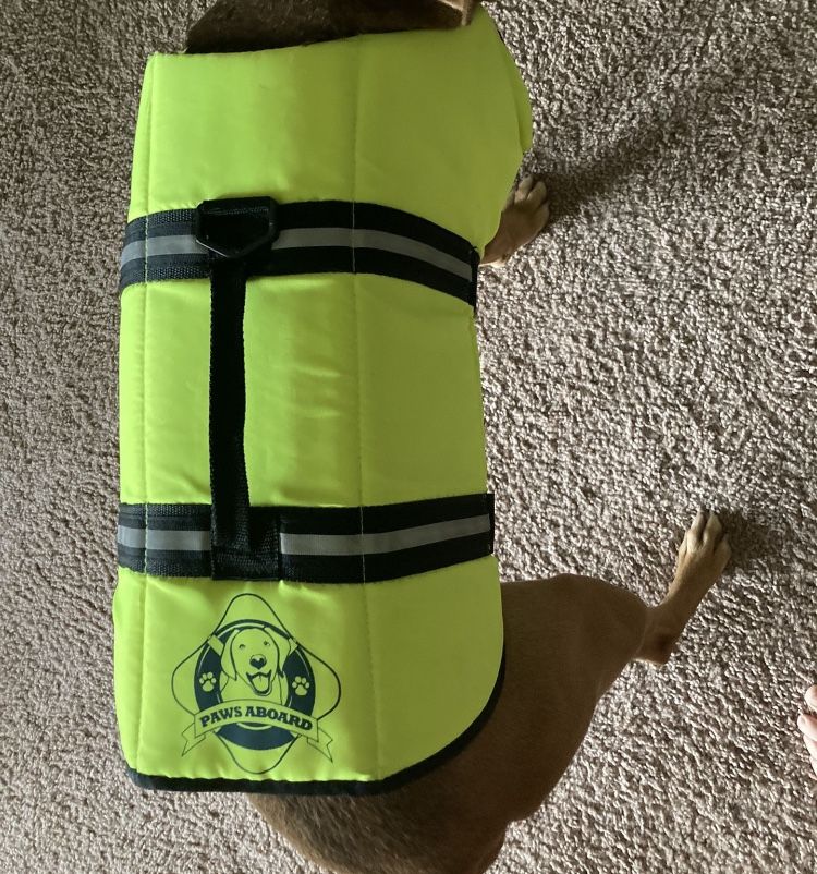 Dog Life vest