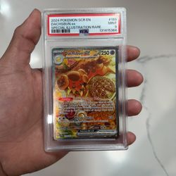 Dachsbun ex (Stellar Crown) PSA 9