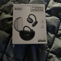 M80 Earphones 