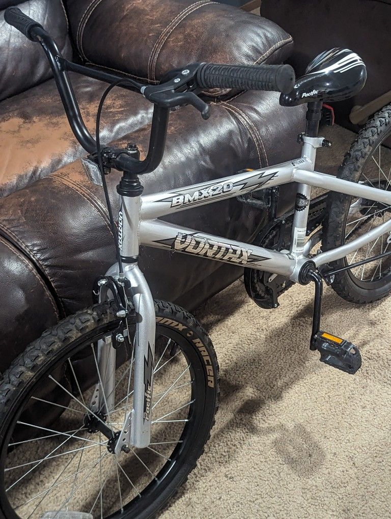 BMX 20 Inch 