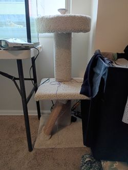 Cat supplies