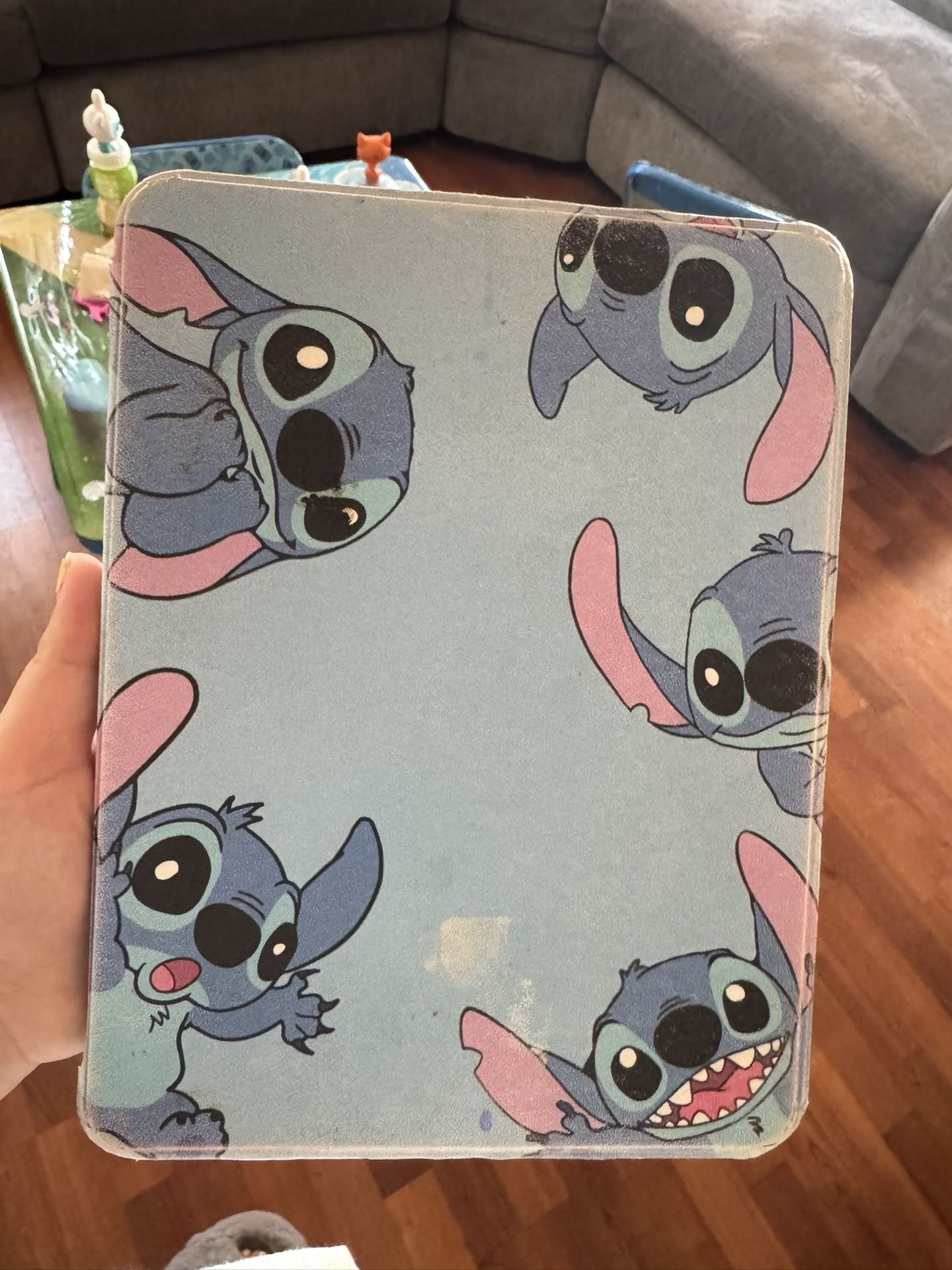 iPad Case