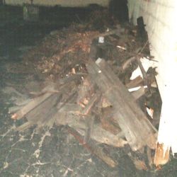 Free Old Wood Pile