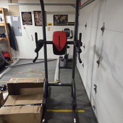 Weider Power Tower