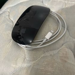 Apple Mouse 