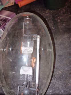 Light bulb
