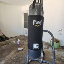 Everlast Punching Bag With Stand