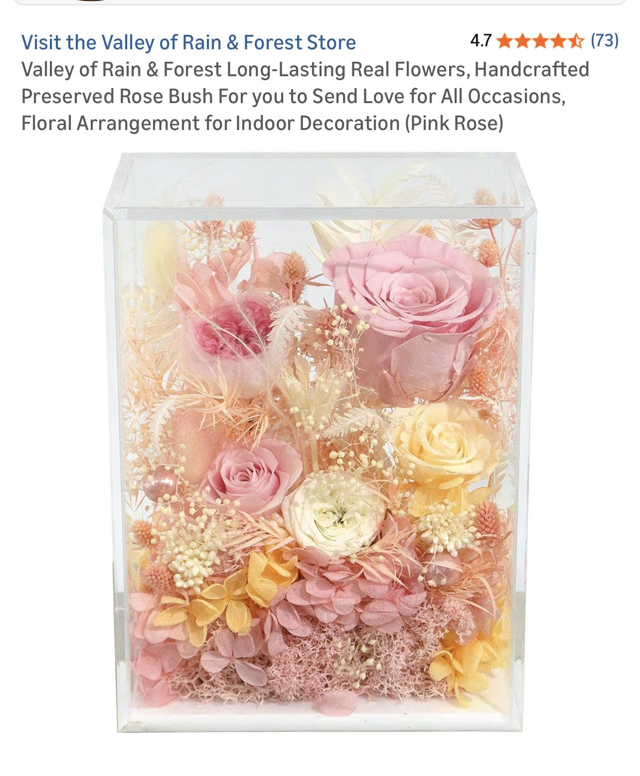 Long Lasting Real Flowers 💐 