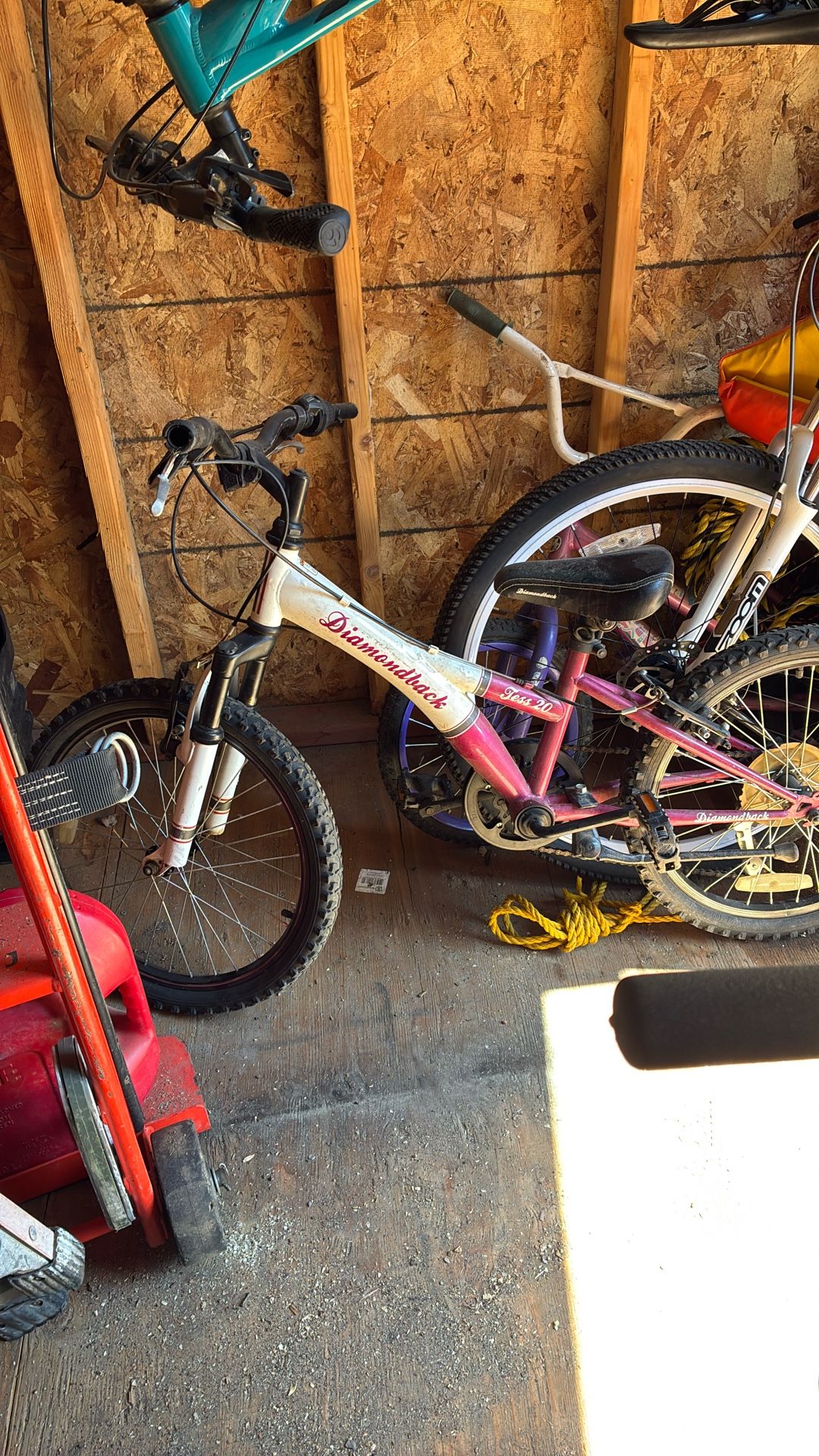 Girls mountain bike