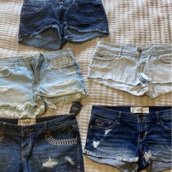 Women’s Shorts Various Sizes 