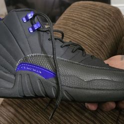 Brand New Jordan 12s OG Black Concord 