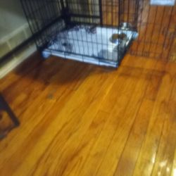 Small Metal Dog Cage 