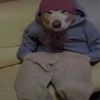 Brandon 