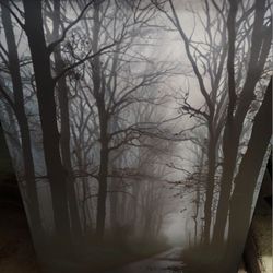 Foggy Forest Art Print On Canvas