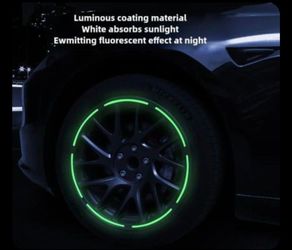 NEW 18-Inch Wheel Protector for 2024-2025 Tesla Model 3