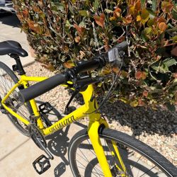 Specialized Men Bike