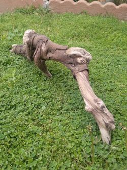 Genuine Driftwood For Aquariums Terrariums Etc. 