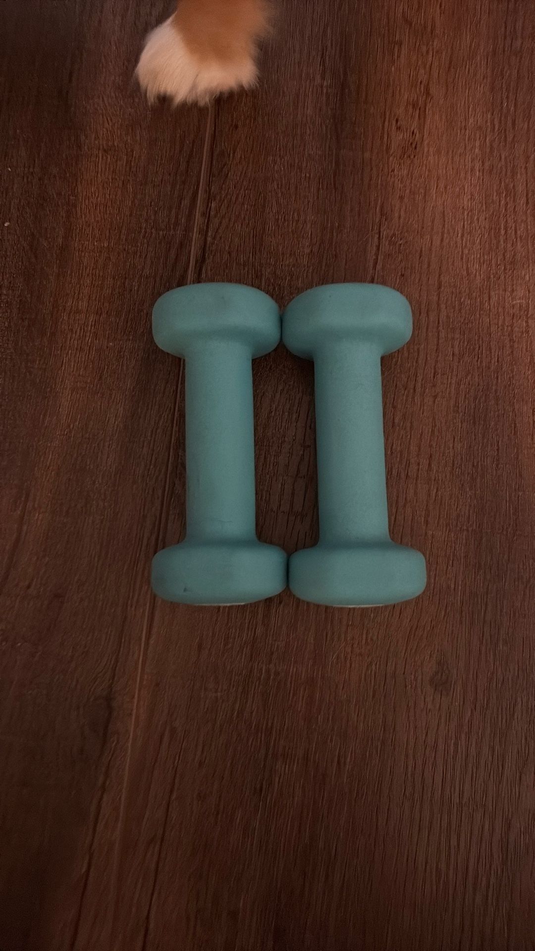Set Of 2 Lb Dumbbells