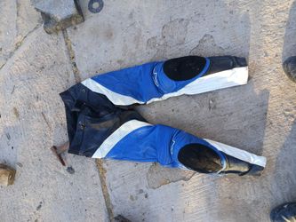 Riding pants
