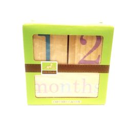 Cotton Candy BB Blocks for Baby Photography 