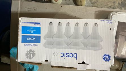 Lightbulbs 65 watt floodlights