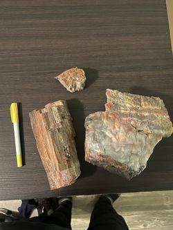 Petrified Wood