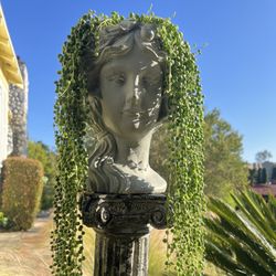 String Pearl In Head Planter