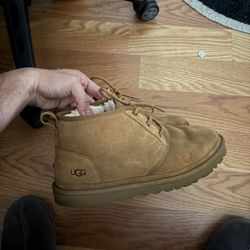 Ugg Boots Men