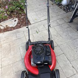 Briggs & Stratton Push Lawnmower
