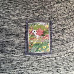 Shaymin 