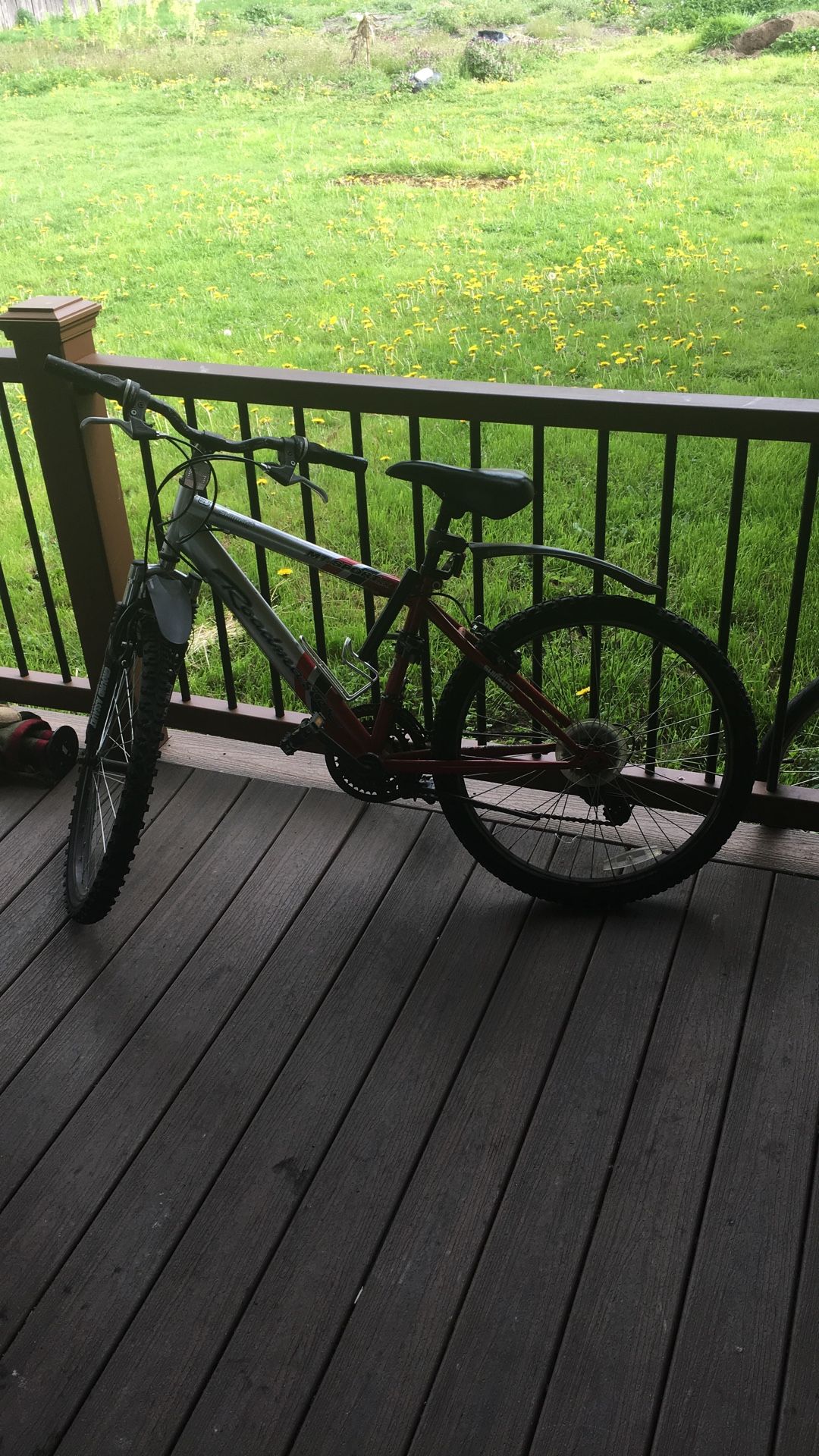 Roadmaster Mountain Bike