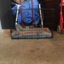 Dog Kennel 