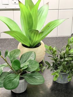 Set of 3 small artificial plants