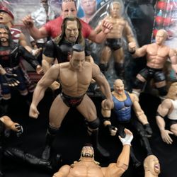 WWE Wrestling Lot Of  23 Wrestlers Collectors Action Figures