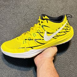 Nike Lunar TR1 LE 'Oregon' 2014 (Sz 11.5M)