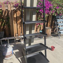 Black Ladder Shelf